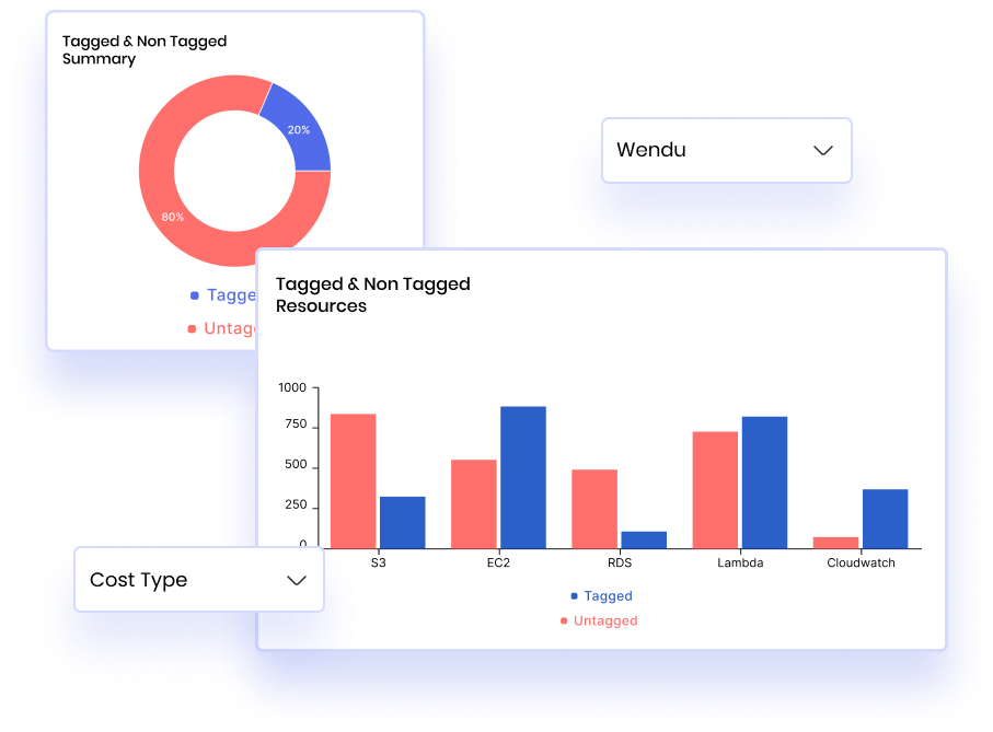 Effective Cloud Resource Tag Management | Wendu.io